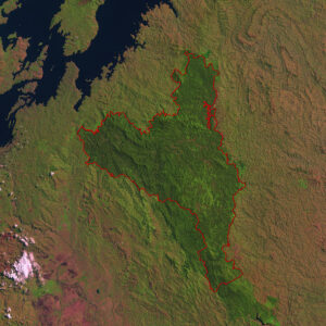 Nyungwe Forest National Park on a satellite image