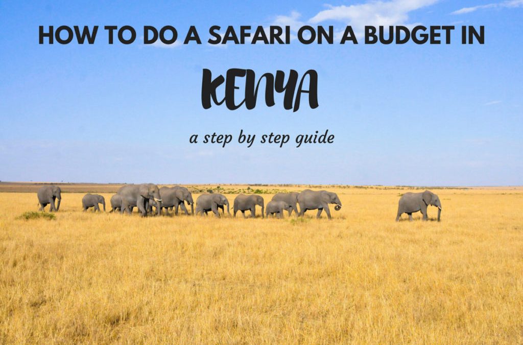 Budget Kenya Safaris – guaranteed wilderness experience on your affordable budget Kenya safari – All African Big Five sighting in Kenya