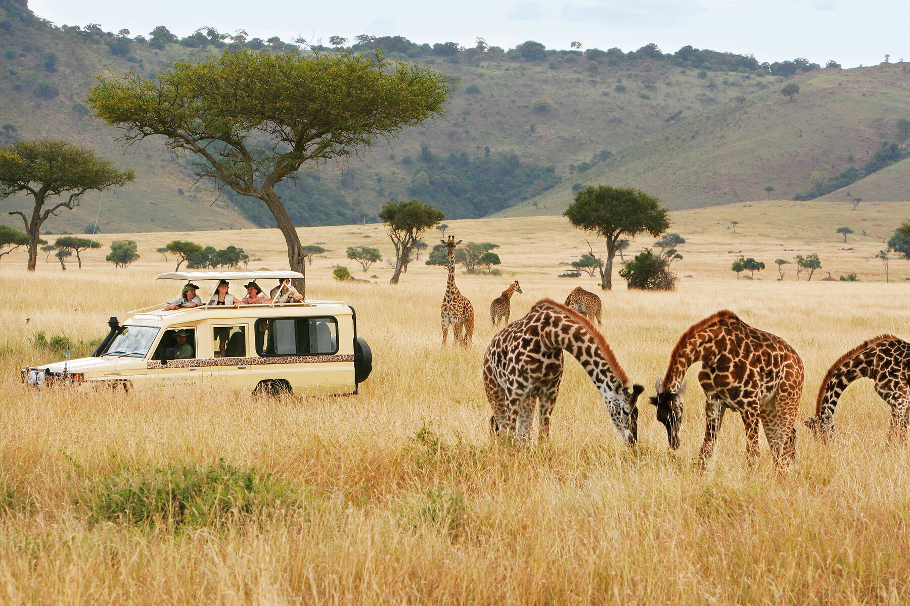 kenya safari on your own