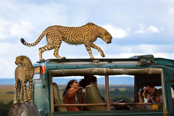 Masai Mara