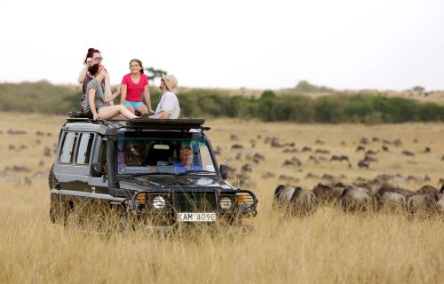 Masai Mara Game Drive safari