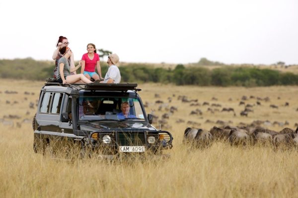 Masai Mara Game Drive safari