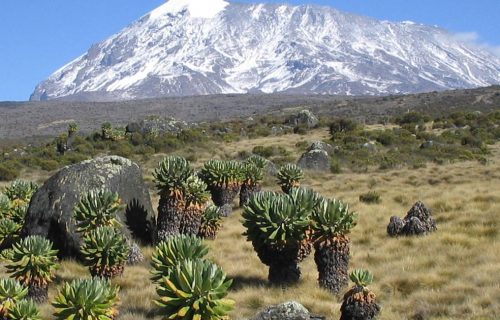 Kilimanjaro National Park.