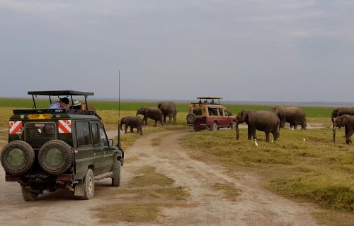 National Parks in Kenya