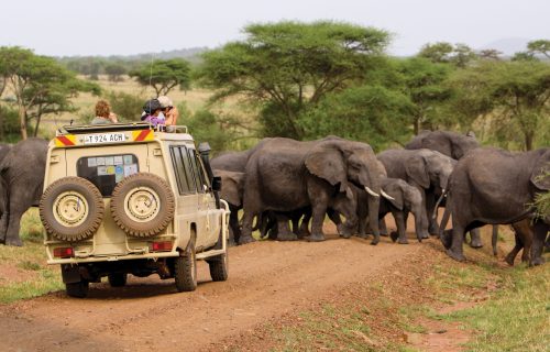 Tanzania: A Grand Family Safari