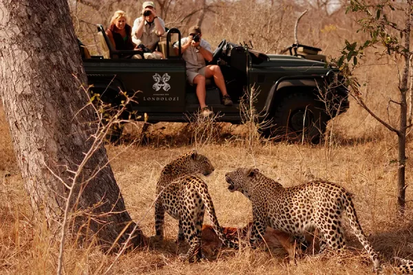 Luxury Kruger, Livingstone & South Luangwa