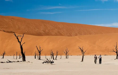 Namibia Safaris