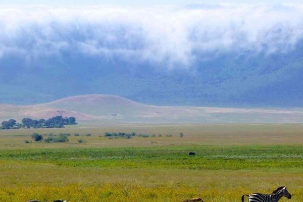 Tanzania’s Tarangire, Crater & Serengeti