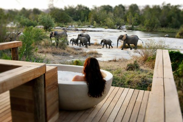 Africa Honeymoon