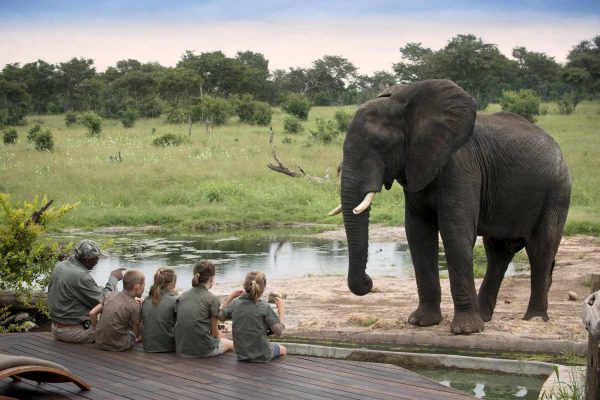 Best African safari for families