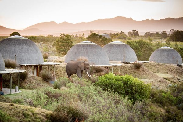 Garden Route Family Safari