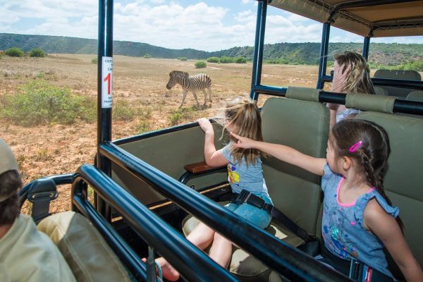 Kruger National Park Family safari