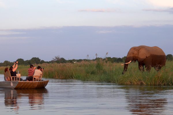 Lower Zambezi Safari