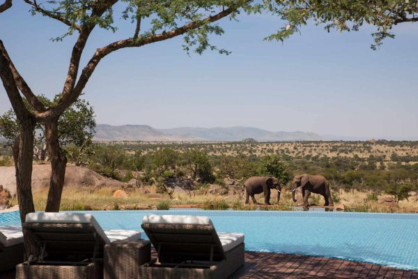 Luxury African safaris