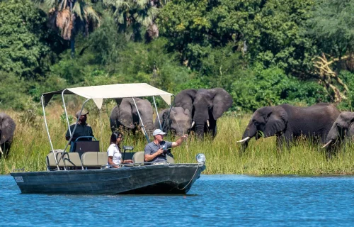 Malawi safaris