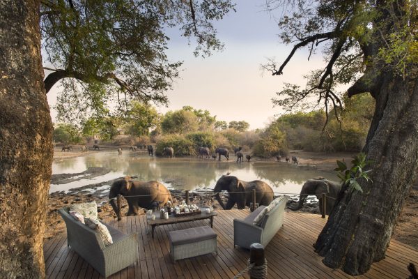 Mana Pools, Hwange & Livingstone Safari