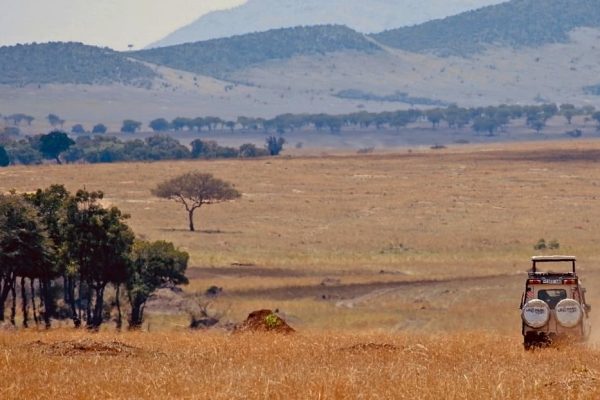 Masai Mara And Serengeti Migration Safari