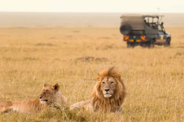 Masai Mara Safari Packages Masai Mara Safari Packages