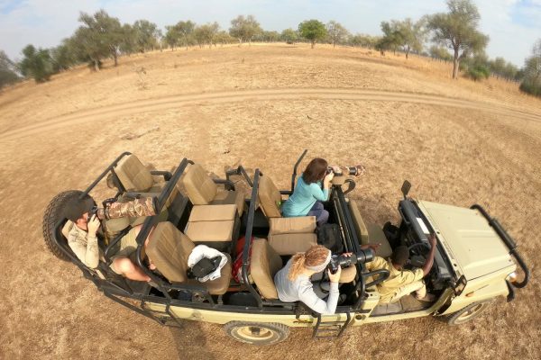 South Luangwa Photographic Safari