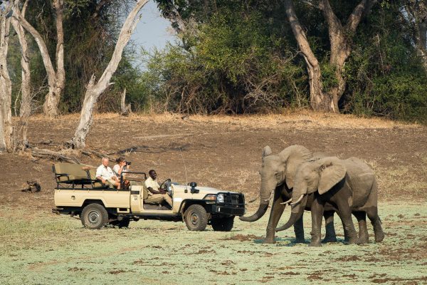 Zambezi And Luangwa Safari Package