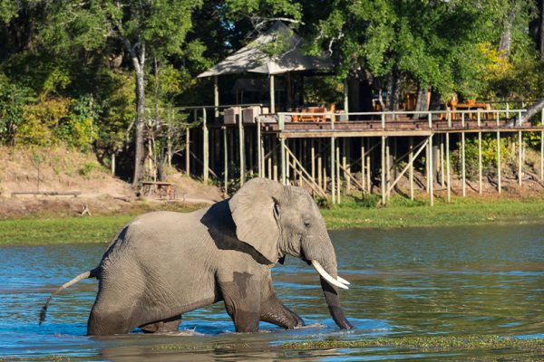 Zambia And Botswana Safari