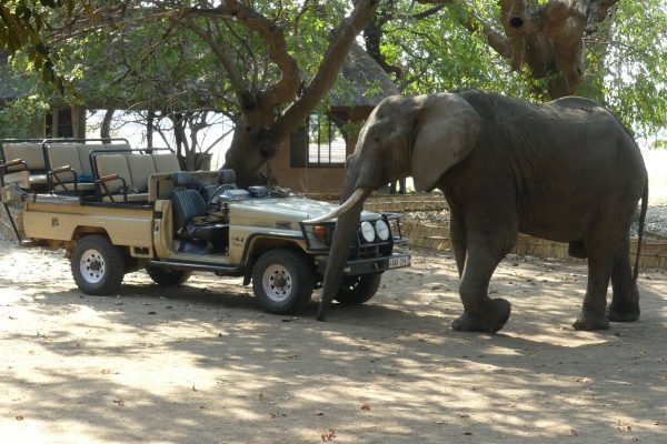 Zambia Walking Safari, Cultural Experience & Canoe