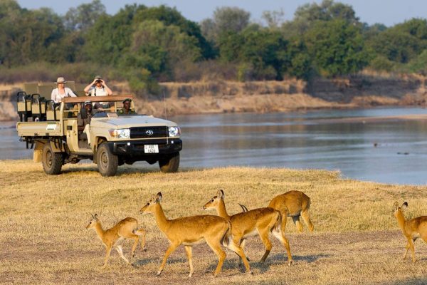 Zambia’s Luangwa Safari