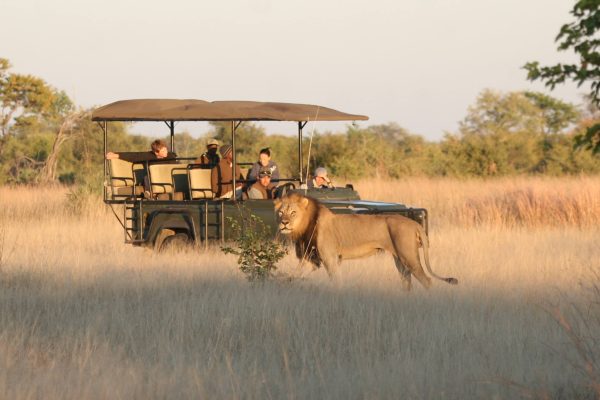 Zimbabwe safari