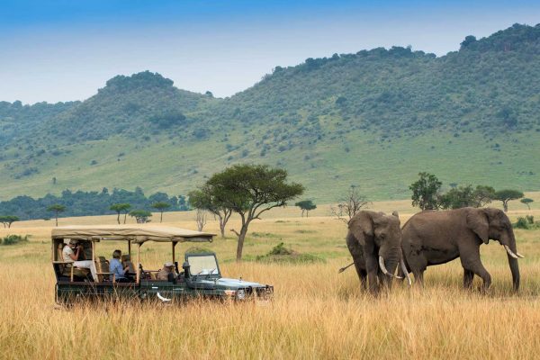 Masai Mara safari and Zanzibar holidays