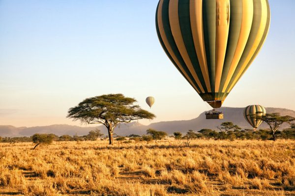 Serengeti safari and Zanzibar holidays