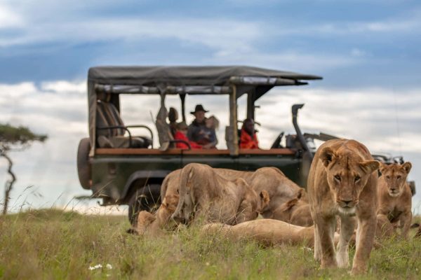 4 Day Masai Mara safari from Nairobi