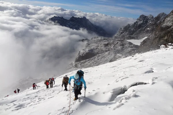 Rwenzori Mountains Trekking