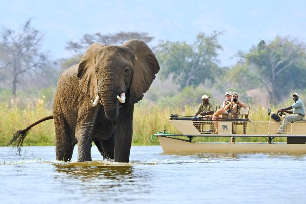 Zambia Safari And Malawi Beach Holiday