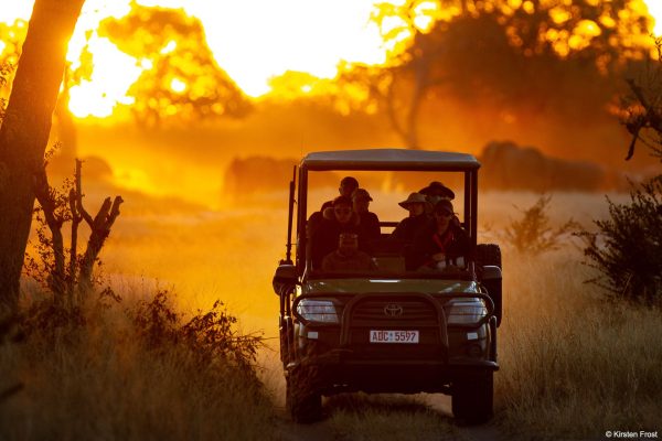 Zimbabwe safari tours