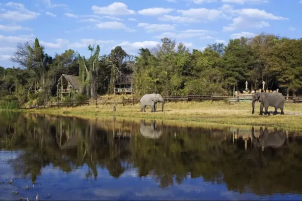 Botswana's Delta, Savute & Chobe