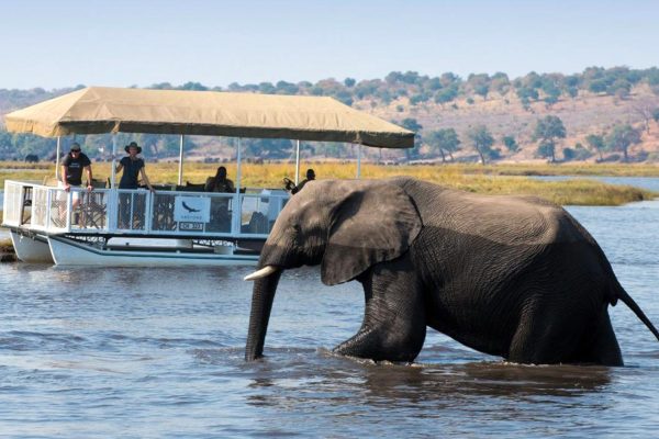 Chobe, Okavango Delta & Moremi