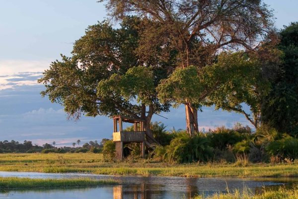 the Kalahari, Moremi Game Reserve & Okavango Delta