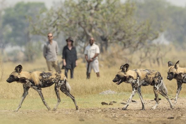 Adventurer Family Botswana's Delta