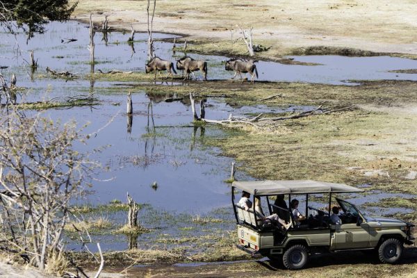 Botswana Conservation And Community Initiative