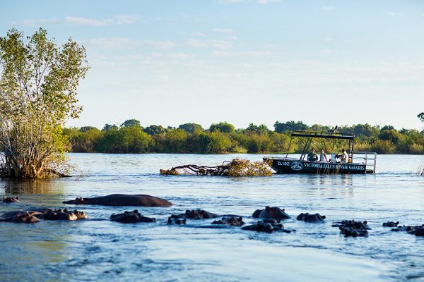 Chobe And Victoria Falls Itinerary