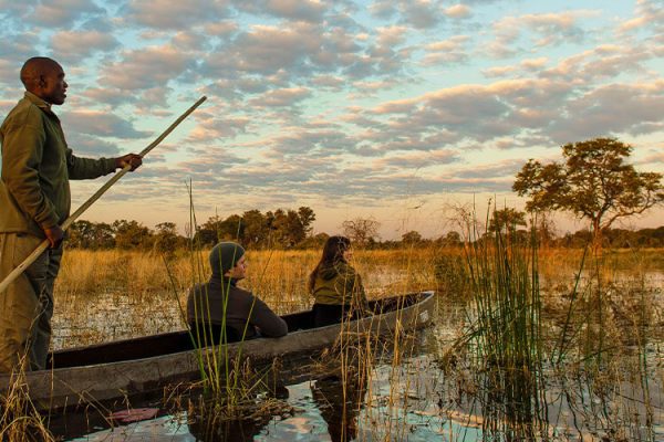 Okavango Delta Honeymoon in the Wild