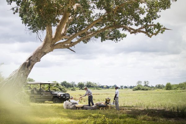 Okavango Delta safaris