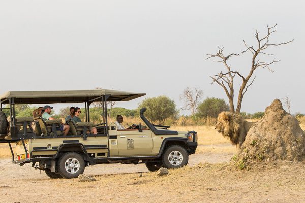 Namibia vs Botswana self-drive safari