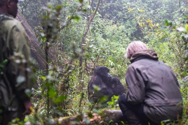 Rwanda Primate Safari