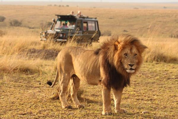Serengeti, Ngorongoro and Lake Manyara